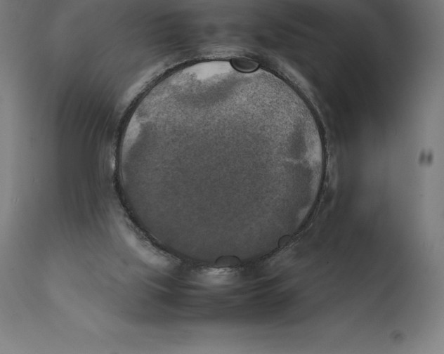 X0000111150059200907211213