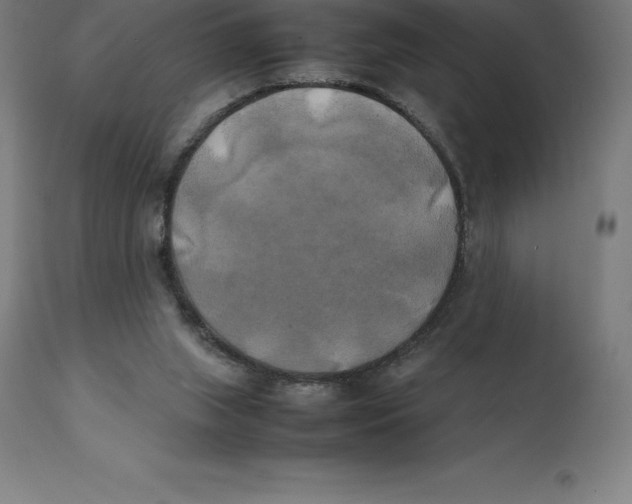 X0000111150063200907211213