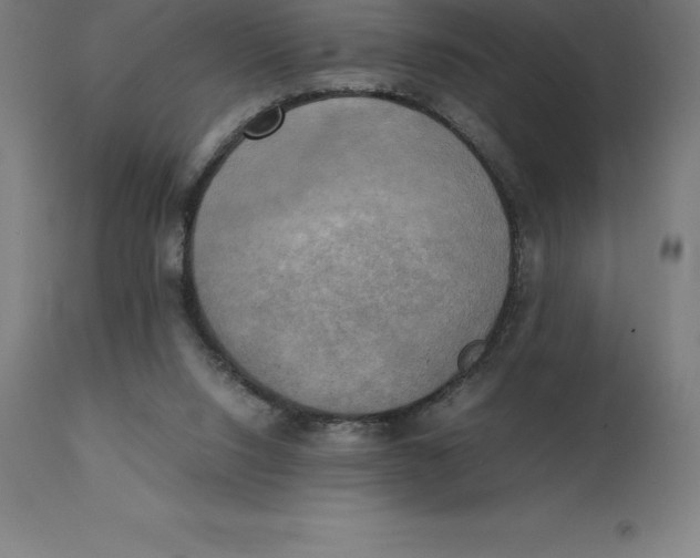 X0000111150064200907211213