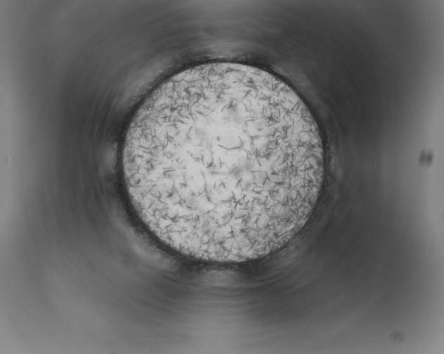 X0000111150066200907211213