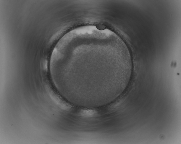 X0000111150067200907211213