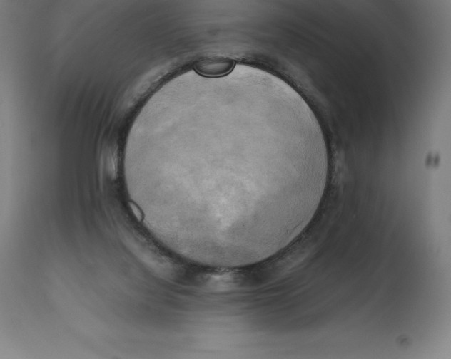 X0000111150068200907211213