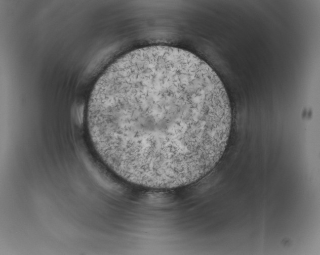 X0000111150070200907211213