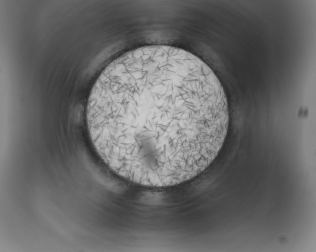 X0000111150071200907211213