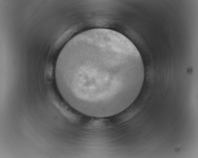 X0000111150072200907211213