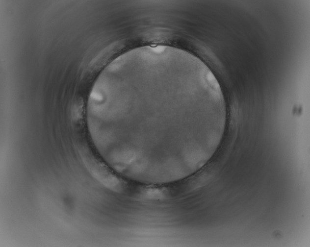 X0000111150073200907211213