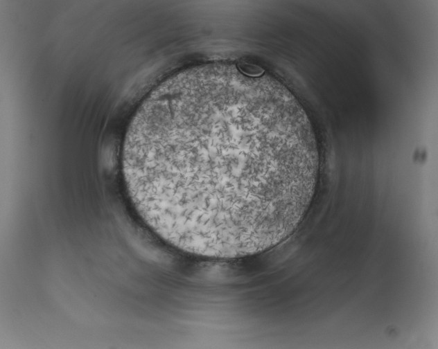 X0000111150074200907211213