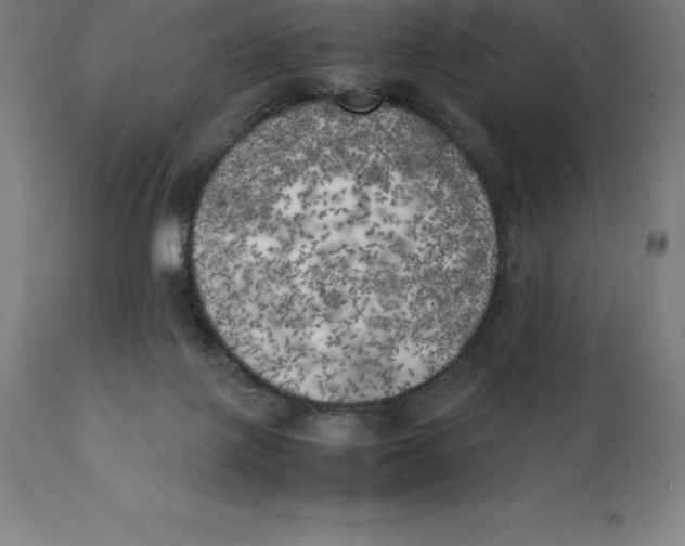 X0000111150075200907211213