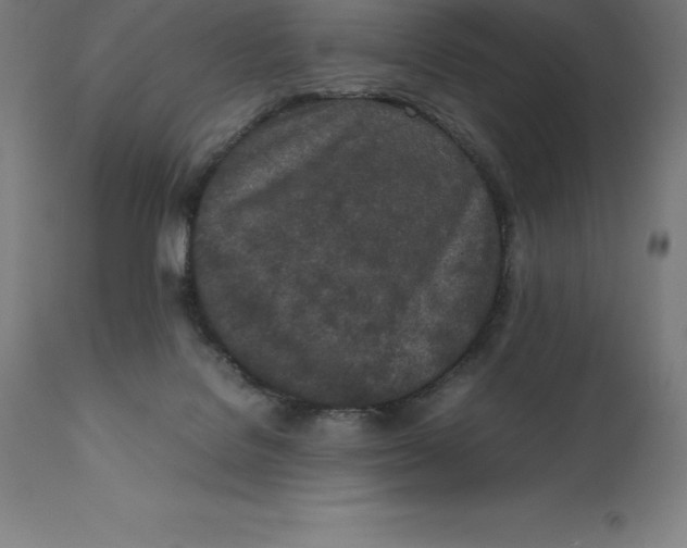 X0000111150076200907211213