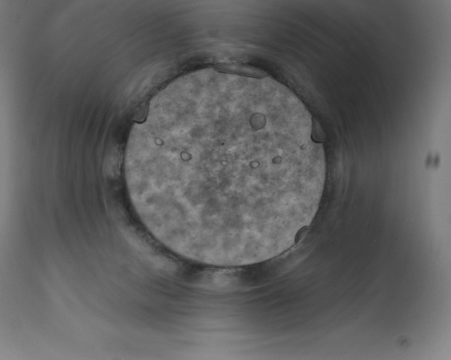 X0000111150078200907211213