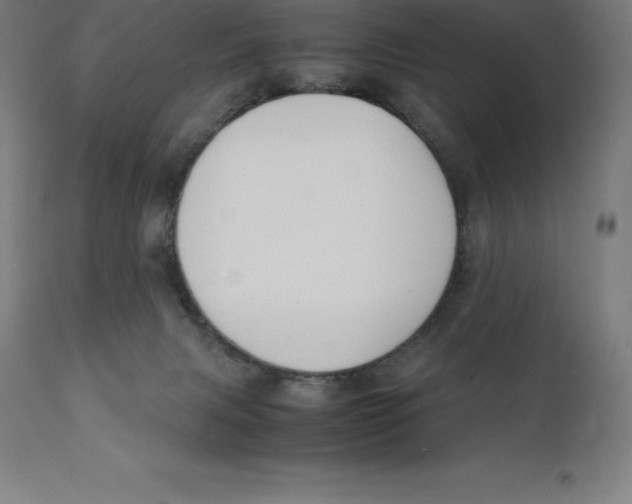 X0000111150079200907211213