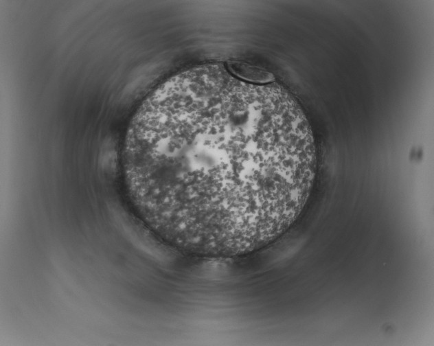 X0000111150080200907211213