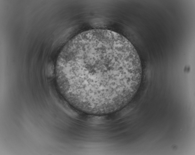 X0000111150081200907211213