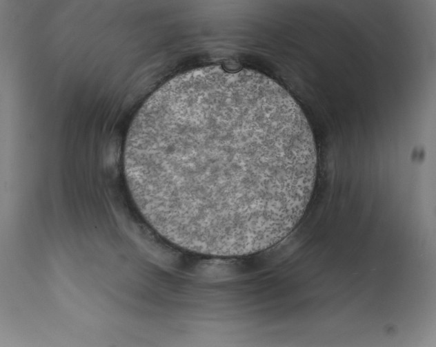 X0000111150082200907211213