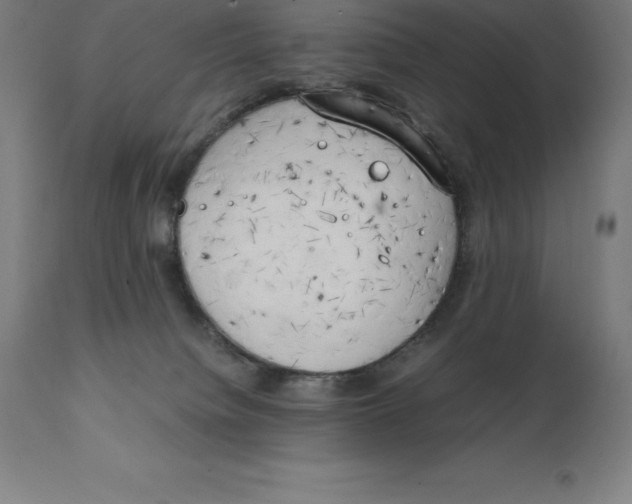 X0000111150084200907211213