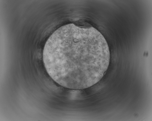 X0000111150085200907211213