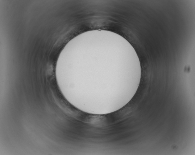 X0000111150087200907211213