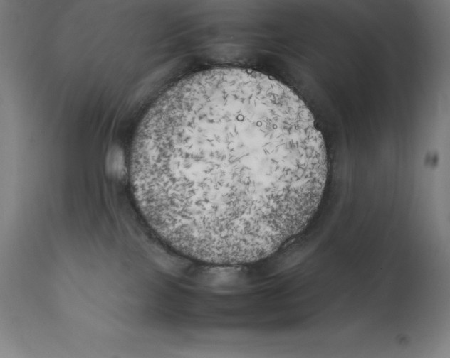 X0000111150089200907211213