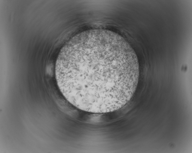 X0000111150090200907211213