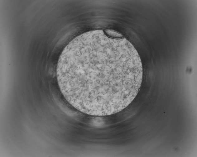 X0000111150091200907211213