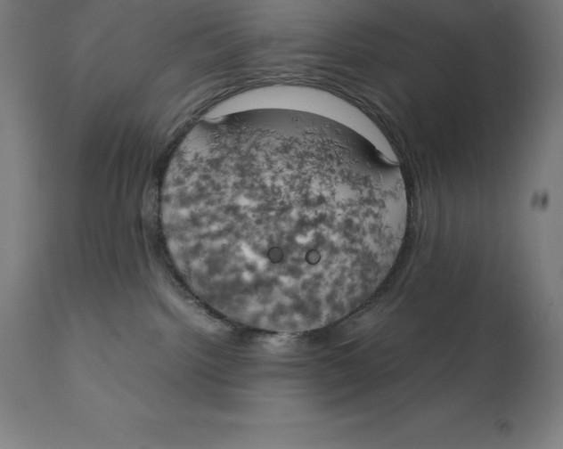 X0000111150092200907211213