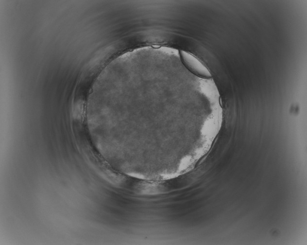 X0000111150093200907211213