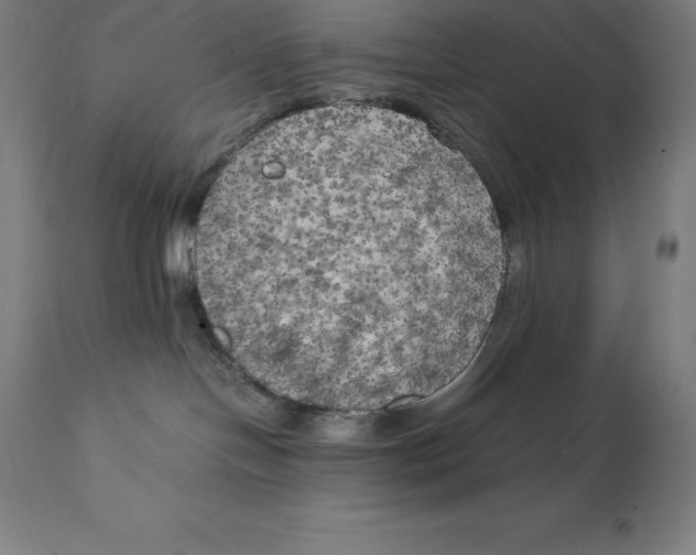 X0000111150094200907211213