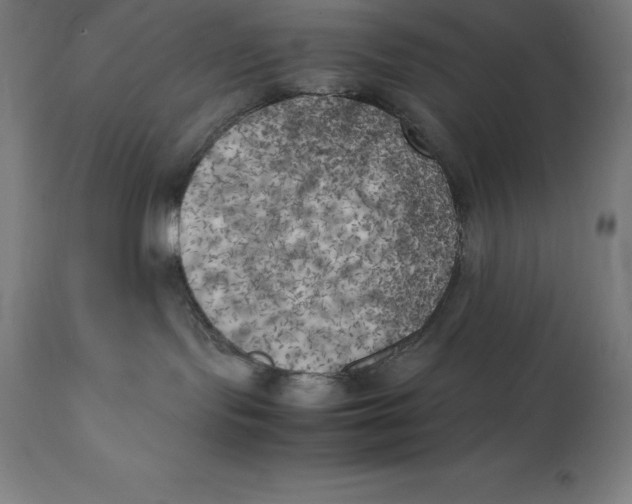 X0000111150095200907211213