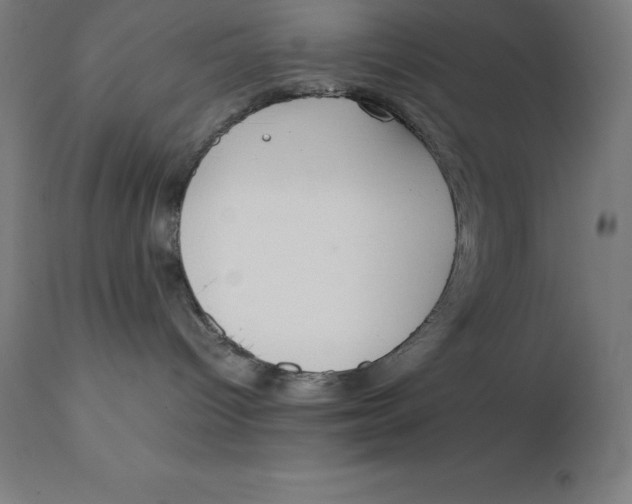 X0000111150096200907211213