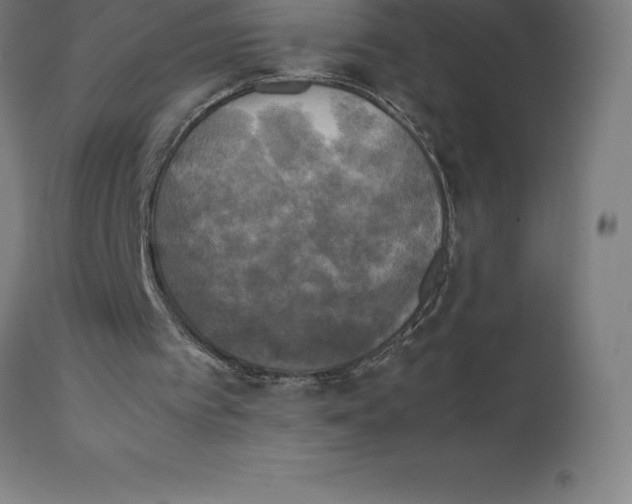 X0000111150097200907211213