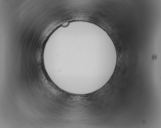 X0000111150098200907211213