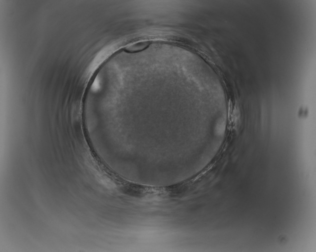 X0000111150099200907211212