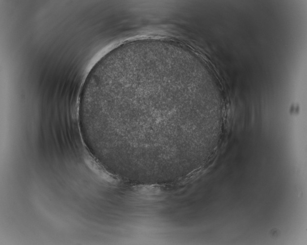 X0000111150100200907211212