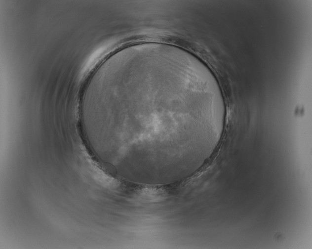 X0000111150101200907211212