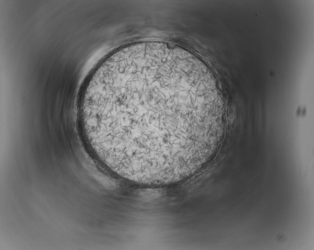 X0000111150102200907211212