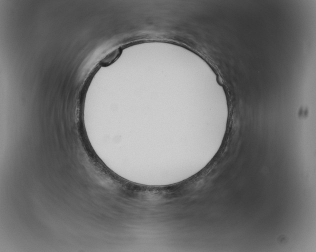 X0000111150103200907211212