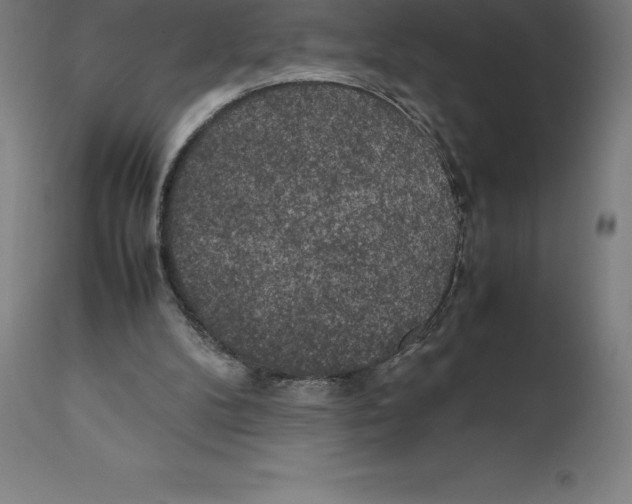 X0000111150104200907211212