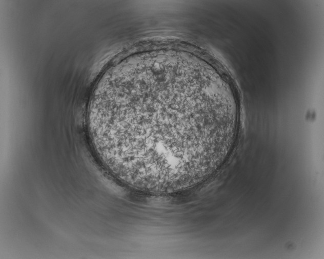 X0000111150105200907211212