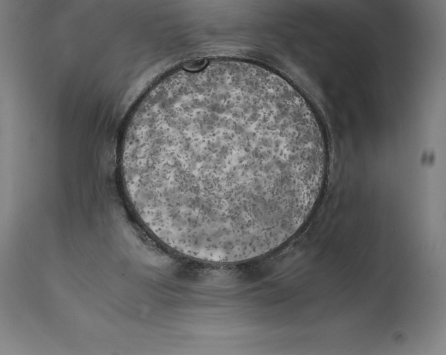 X0000111150107200907211212