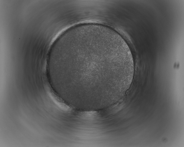 X0000111150108200907211212