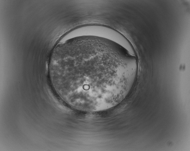 X0000111150109200907211212