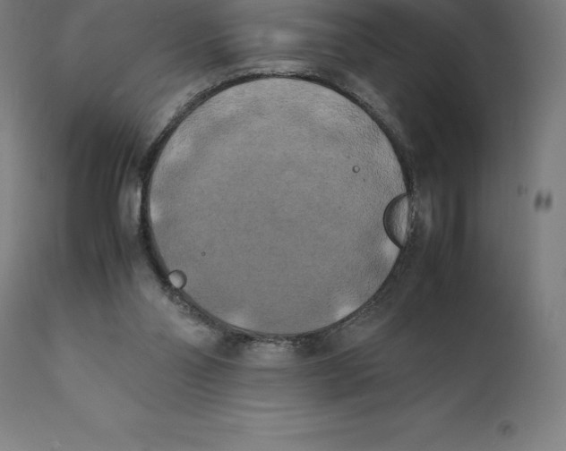 X0000111150110200907211212