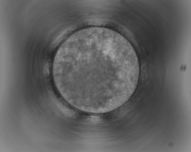 X0000111150114200907211212