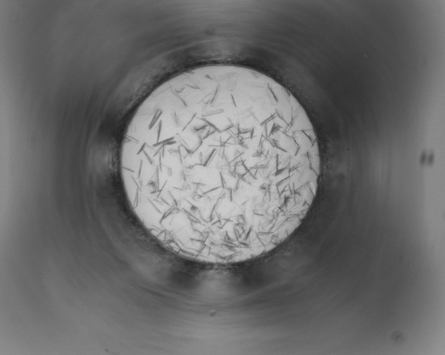 X0000111150119200907211212