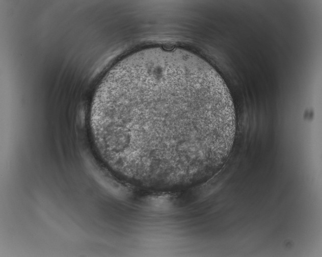 X0000111150120200907211212