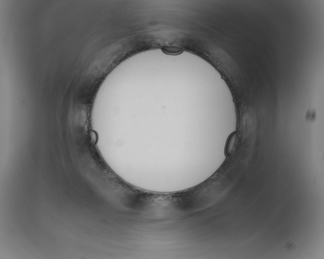 X0000111150121200907211212