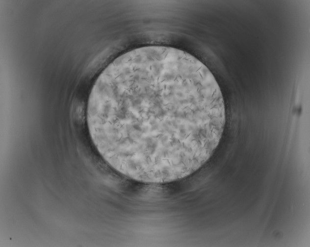 X0000111150123200907211212