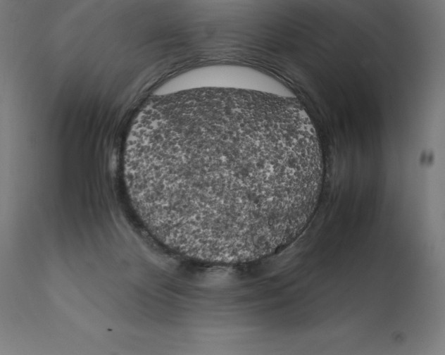 X0000111150124200907211212