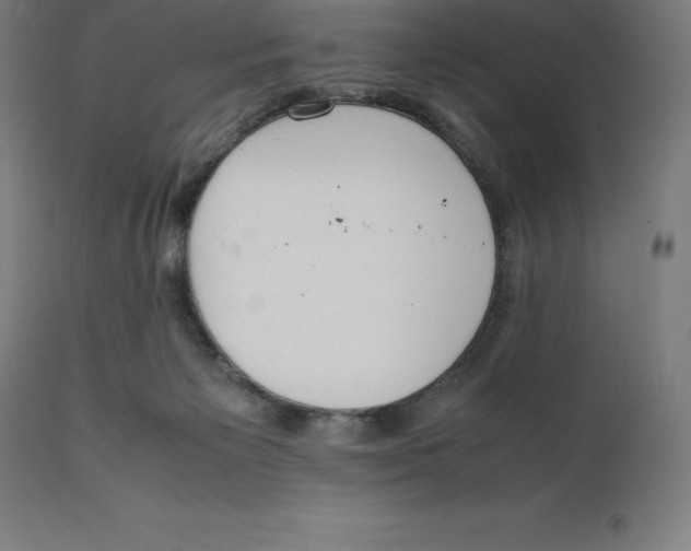 X0000111150125200907211212