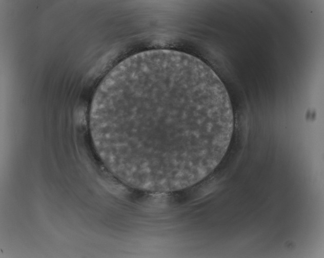 X0000111150127200907211212